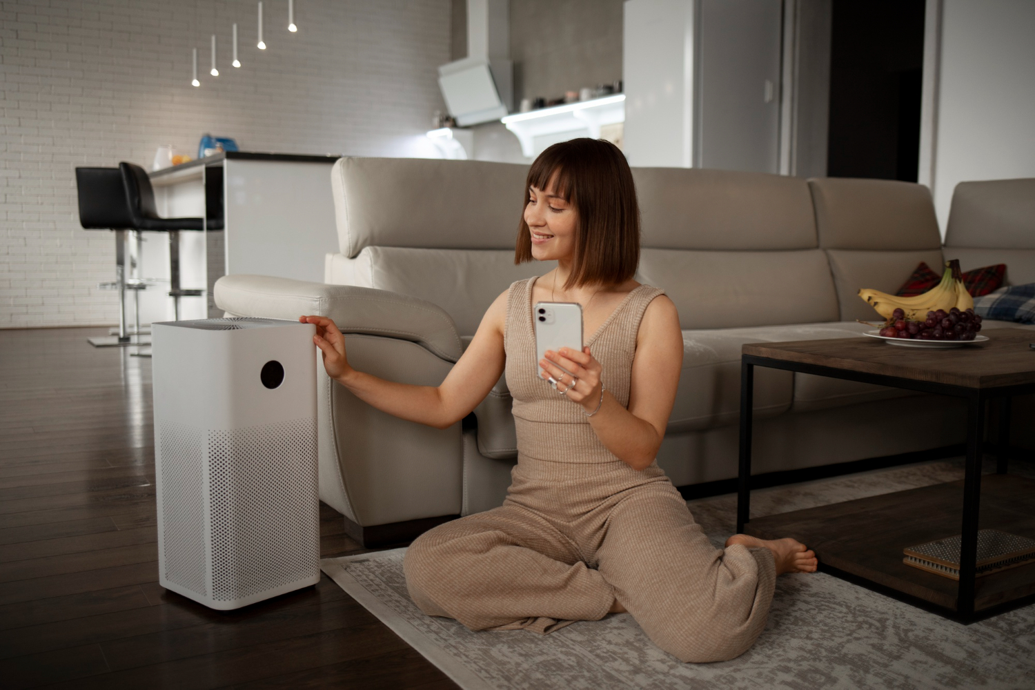 woman using home air filter